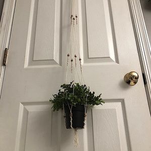 40 inch long plant hanger!